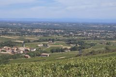 fleurie_03_09_26_12