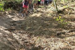 fleurie_03_09_26_18