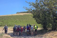 fleurie_03_09_26_20