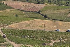 fleurie_03_09_26_24