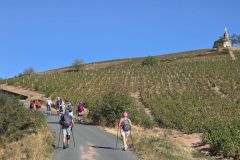 fleurie_03_09_26_28