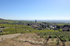 fleurie_03_09_26_29