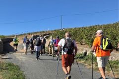 fleurie_03_09_26_30