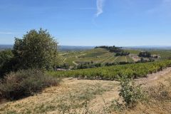 fleurie_03_09_26_8