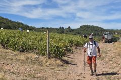 fleurie_03_09_26_9