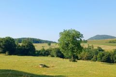 gigny_19_06_25_24
