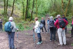 godillotte_08_05_25_23