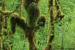 godillotte_08_05_25_26