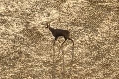 jasseron_20_11_25_11