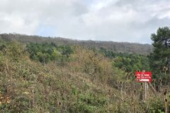 jasseron_20_11_25_14