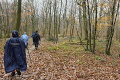 jasseron_20_11_25_21