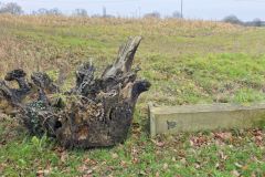 logisneuf_04_12_25_11