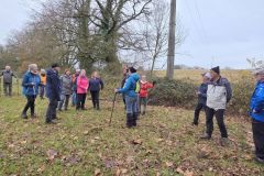 logisneuf_04_12_25_12