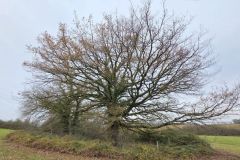 logisneuf_04_12_25_13