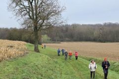 logisneuf_04_12_25_19