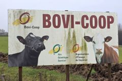 logisneuf_04_12_25_9