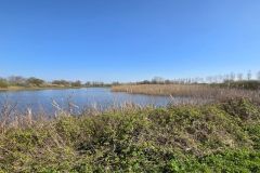 moignans_19_03_26_12