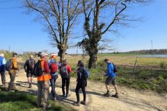 moignans_19_03_26_15