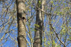 moignans_19_03_26_16