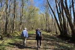 moignans_19_03_26_17