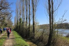 moignans_19_03_26_18