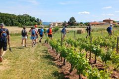 montmelas_29_05_25_18