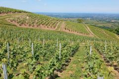 montmelas_29_05_25_19