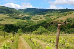montmelas_29_05_25_32