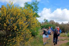montmelas_29_05_25_33