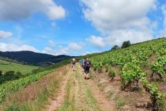 montmelas_29_05_25_34
