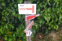 montmelas_29_05_25_8