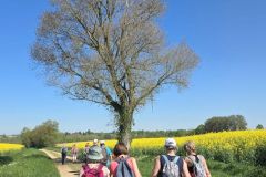 montmerle_09_02_26_13