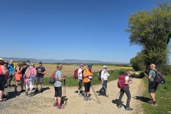 montmerle_09_02_26_14