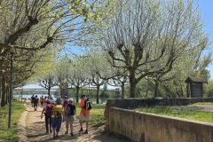 montmerle_09_02_26_2