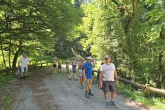 oyo_18_06_26_37