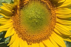 pin_09_07_26_6