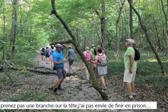 polliat_25_06_26_14