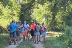 polliat_25_06_26_2