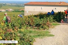 salles_18_09_25_17