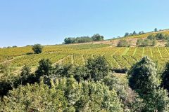 salles_18_09_25_22