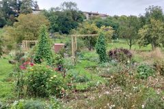 treffort_25_09_25_22