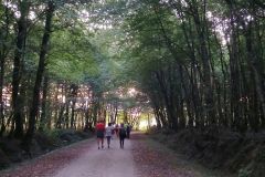 vandeins_22_08_25_5