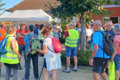 vandeins_22_08_25_9