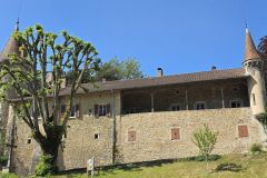 varey_28_05_26_11