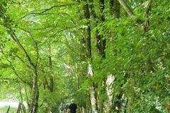varey_28_05_26_16