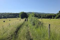 varey_28_05_26_20