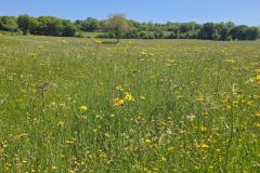 verjon_30_04_26_16