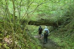 verjon_30_04_26_32